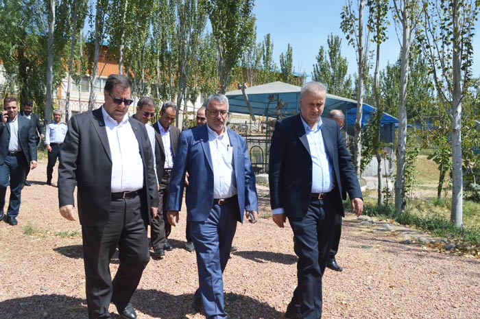 علیرضا سلیمانی
